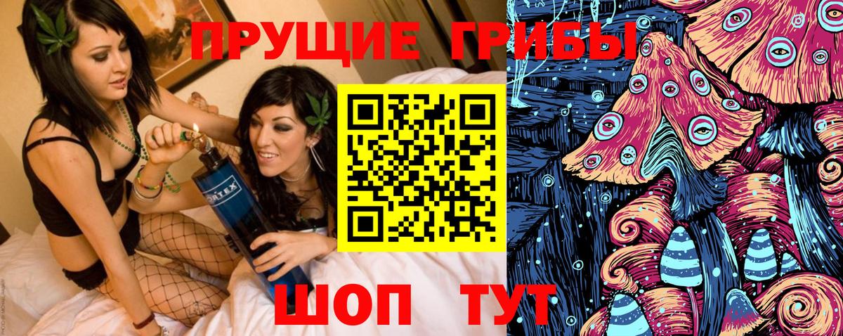 Галлюциногенные грибы Cubensis  Вход с VPN  Россия 