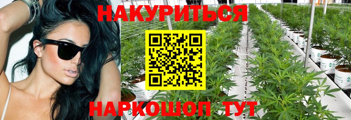 Канабис White Widow  Вход с VPN  Каннабис гибрид  Россия 